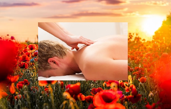 Realizo masajes terapéuticos a domicilio, utilizo aceites naturales de plantas y tinturas cosechadas y creadas por mi, utilización según la necesidad que se requiera.