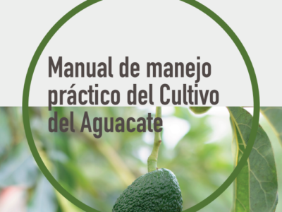 Manual de manejo práctico del Cultivo del Aguacate